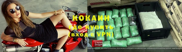 эйфоретик Богданович
