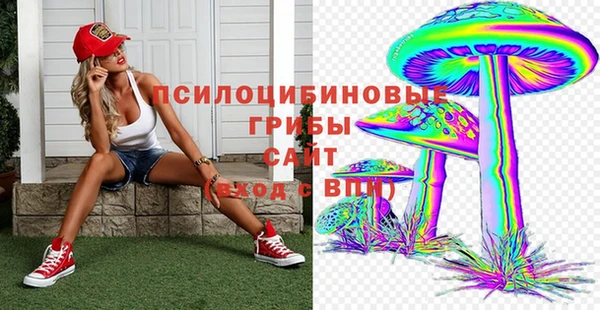 стаф Бородино