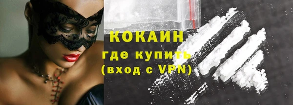 стаф Бородино