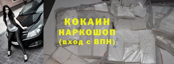 СК Бронницы