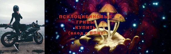 стаф Бородино