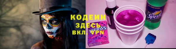 стаф Бородино