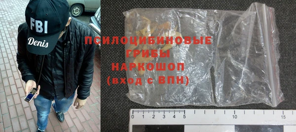 2c-b Богородицк