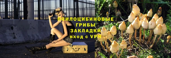 эйфоретик Богданович