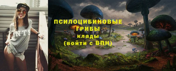 2c-b Богородицк