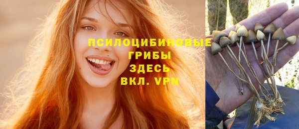 mix Богородск