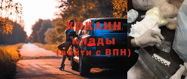эйфоретик Богданович