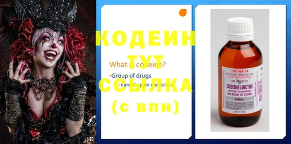 СК Бронницы