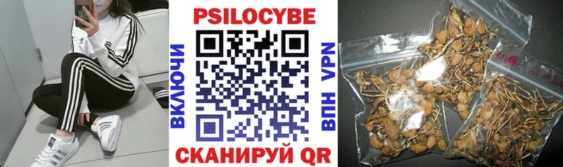 Купить закладки  Кириши  Галлюциногенные грибы Psilocybe 